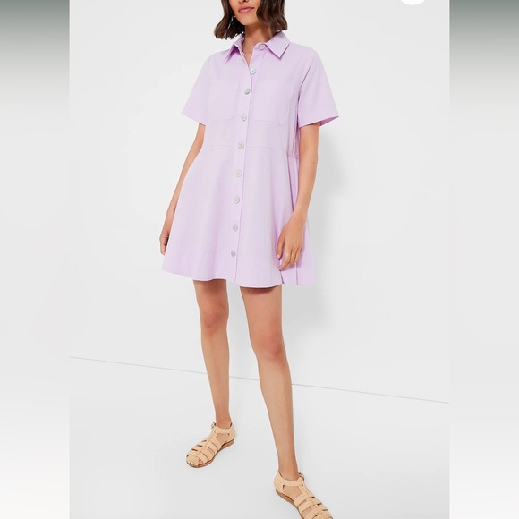 Tuckernuck Lavender Button-Down Dress - Picture 6 of 12